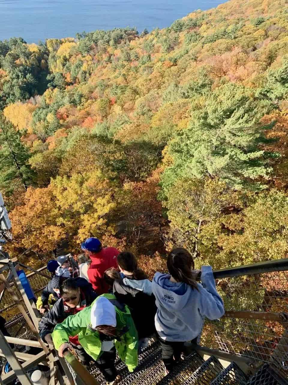 Dorset Lookout Tower
