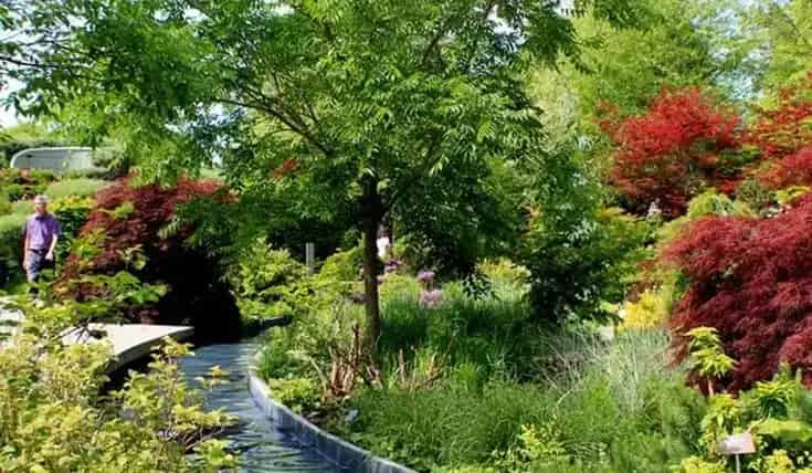 Toronto Botanical Garden Tour