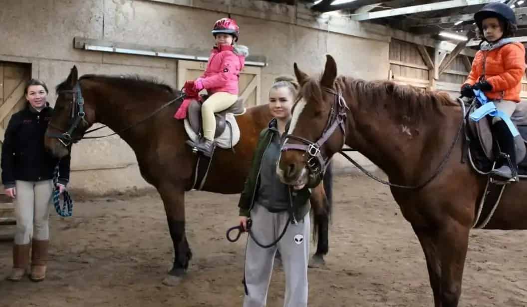 Meadowlarke Stables