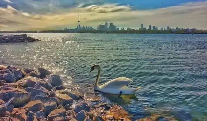 Tommy Thompson Park