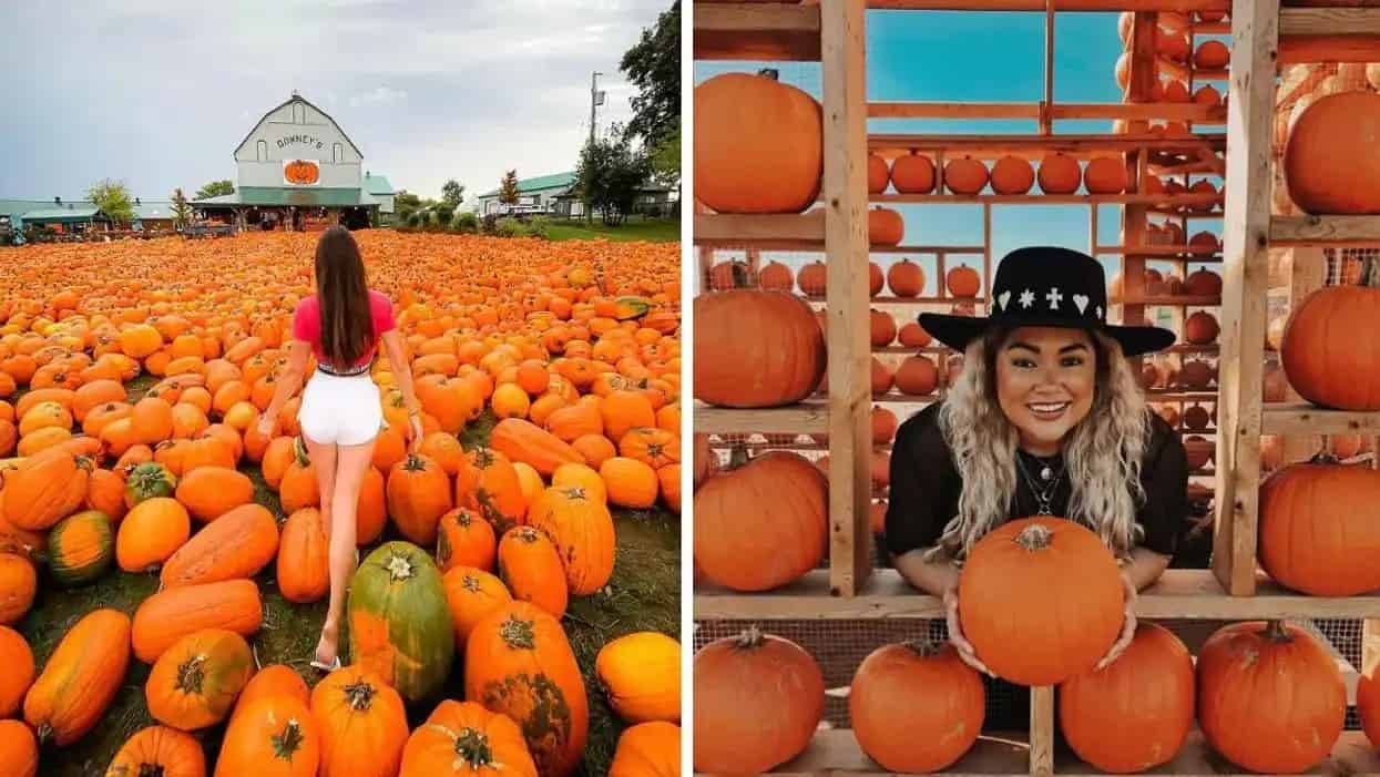 Fun at Downey’s Farm