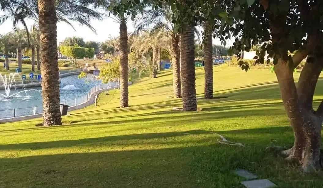 Family Park