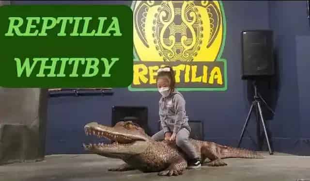 Reptilia Whitby