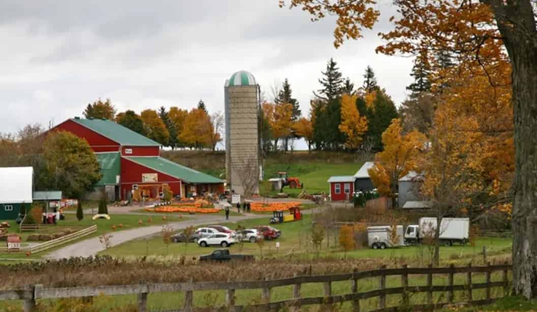Forsythe Family Farms