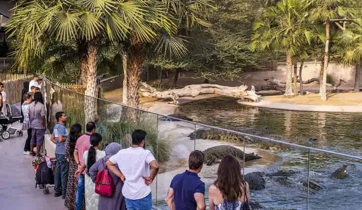 Dubai Crocodile Park