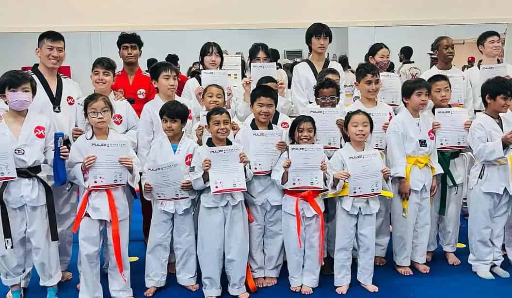 Pulse Martial Arts Markham
