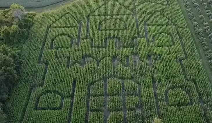 Wynn Farms