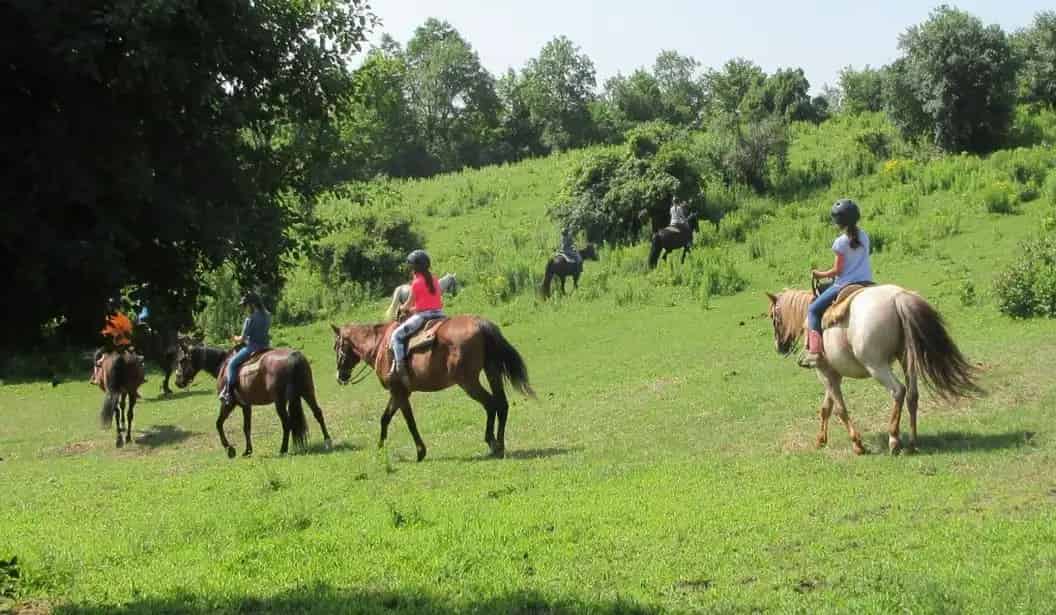 Rocky Ridge Ranch