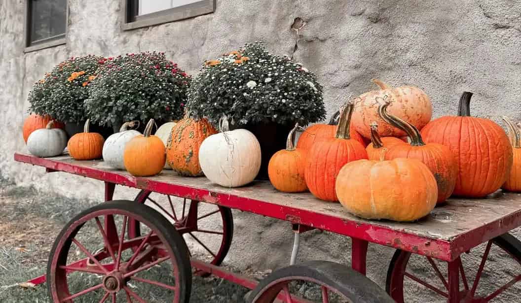 Erin Hill Acres