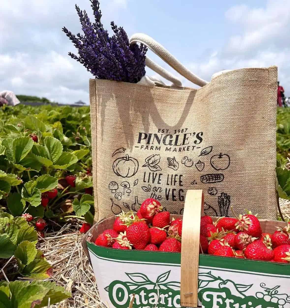 Pingle's Farm Market