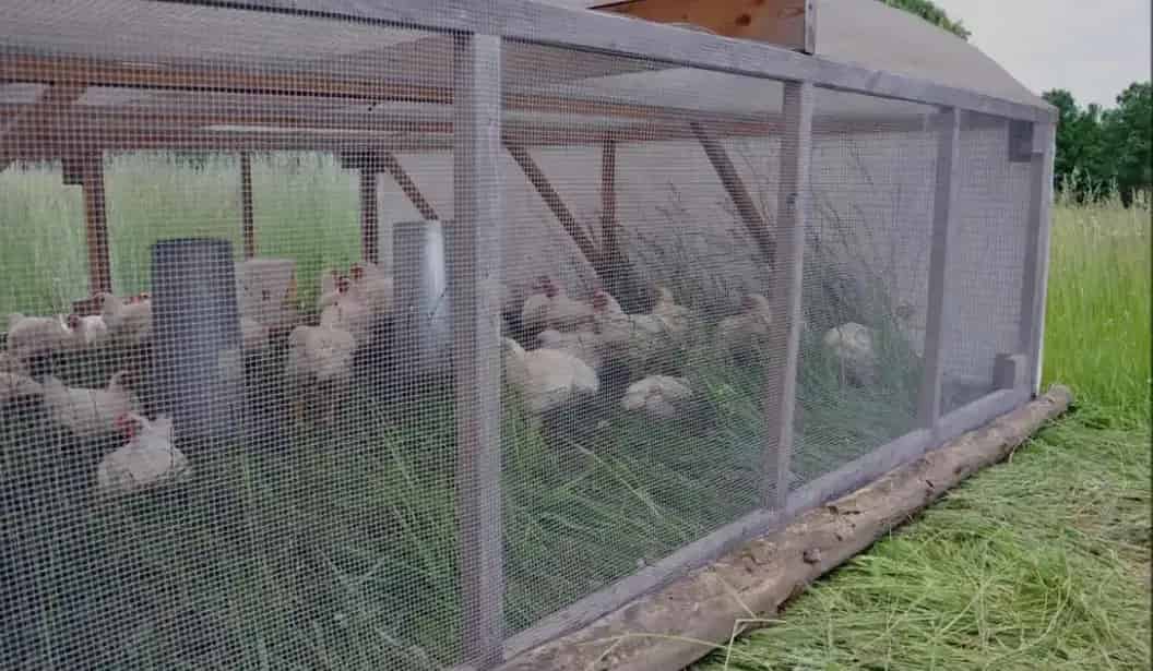 Grindstone Creek Farm