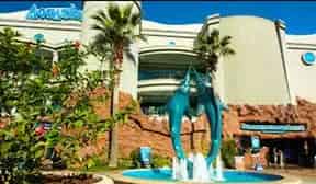 Downtown Aquarium