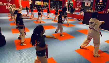 Black Belt World Vaughan