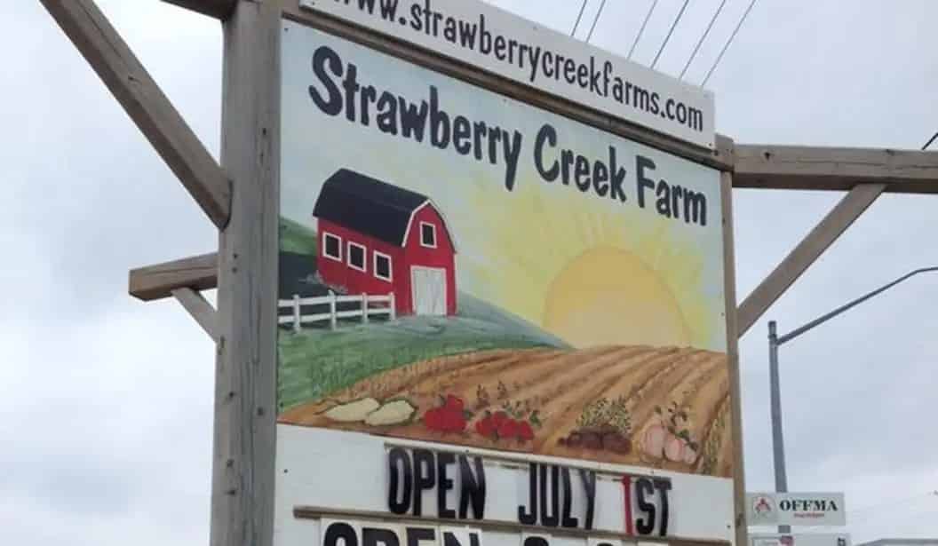 Strawberry Creek Farm