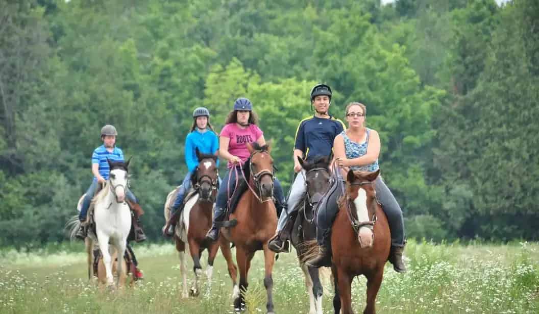 Fallbrook Trail Ranch