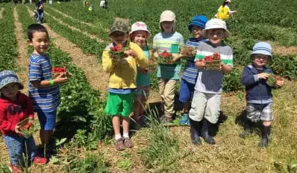 Forsythe Family Farms