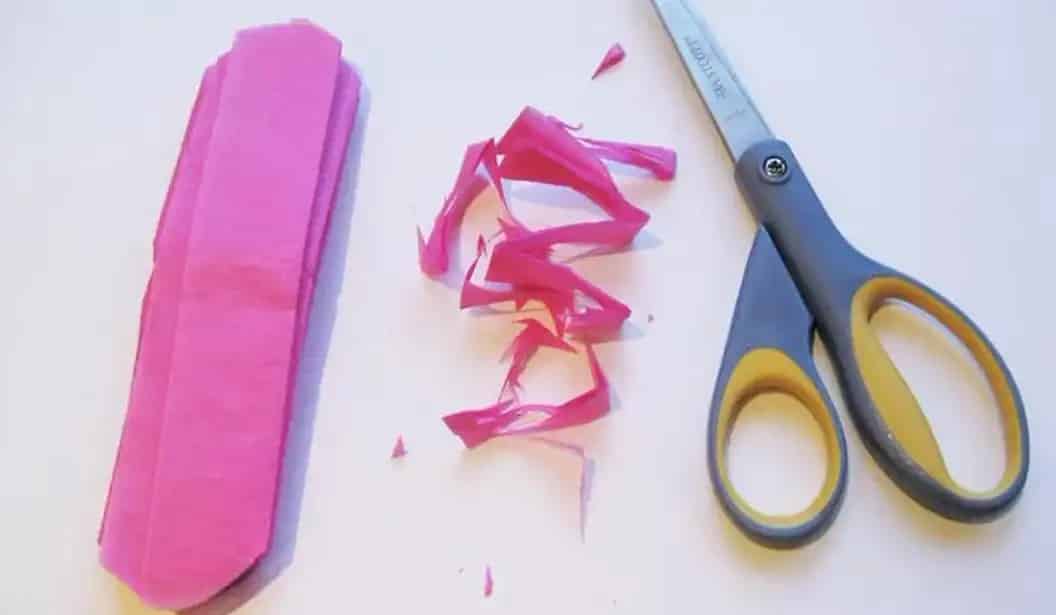 Tissue Paper Flowers