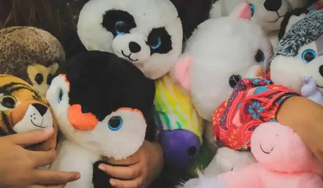 Bunch Of Fun Playland
