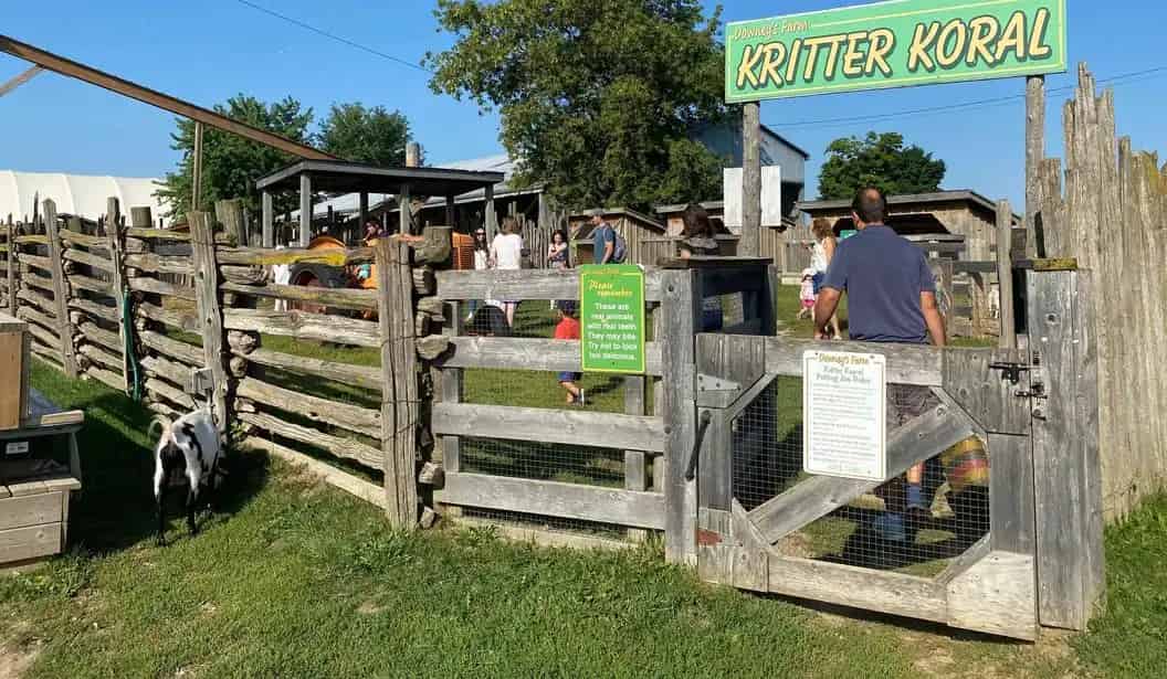 Fun at Downey’s Farm
