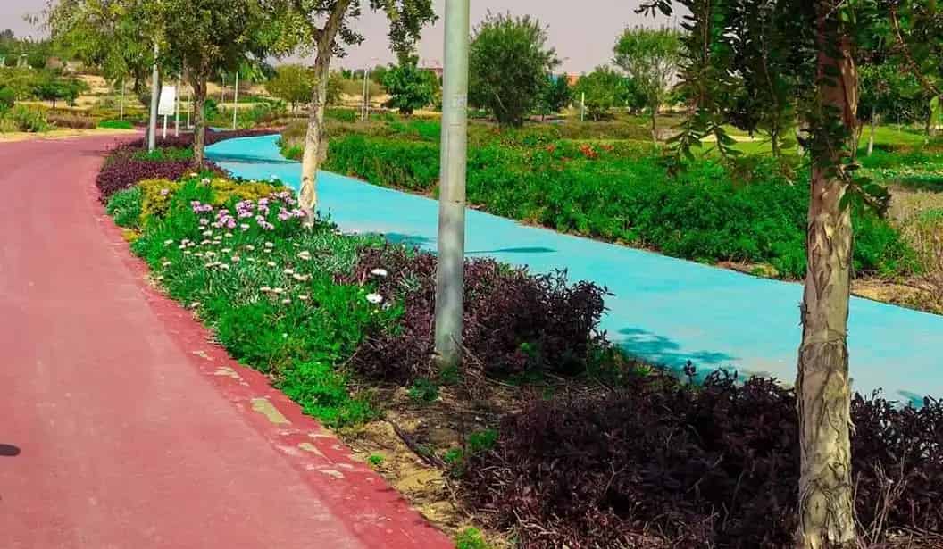Bikes Park- Future City
