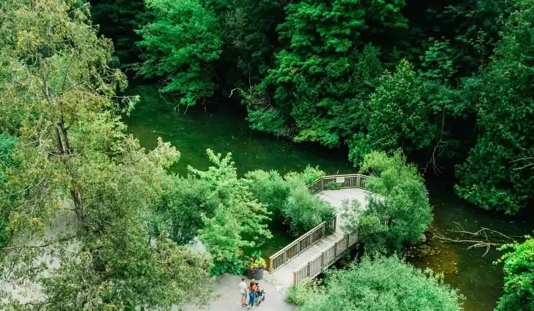 Storybook Gardens
