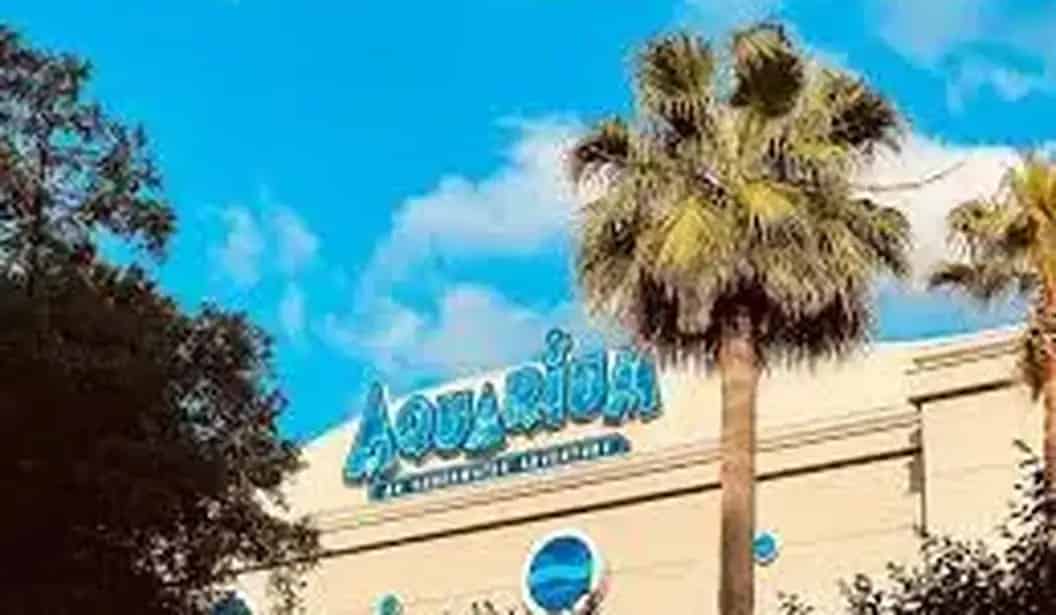 Downtown Aquarium