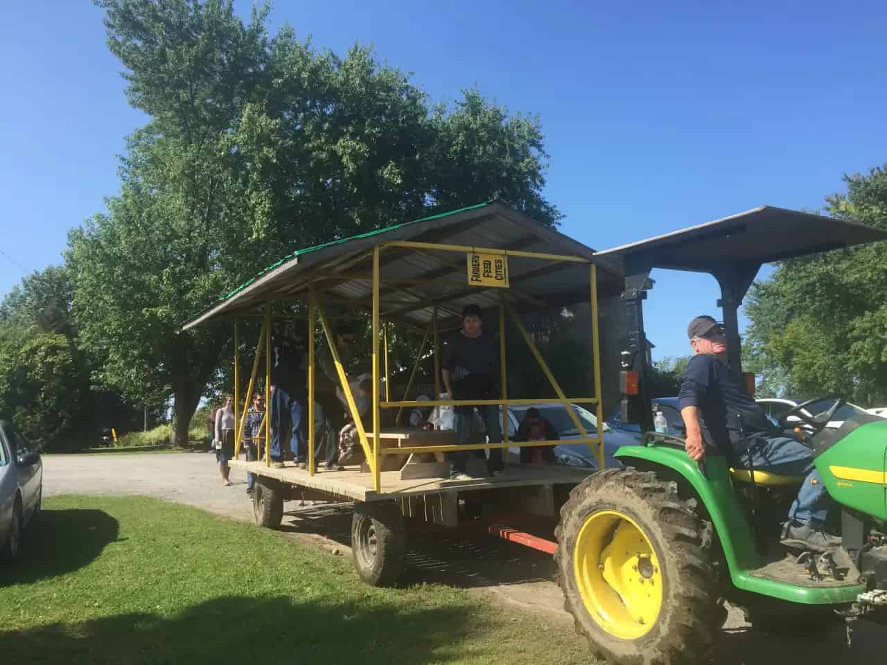 Avonmore Berry Farm