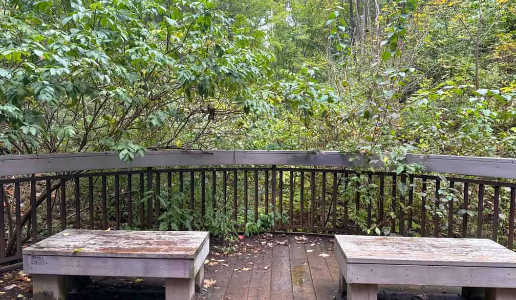Glen Stewart Park