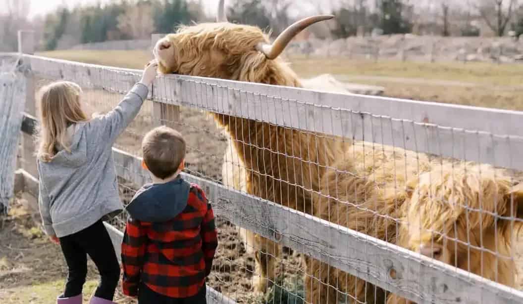 Grindstone Creek Farm