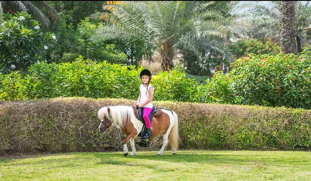 فندق شاطئ جيه إيه