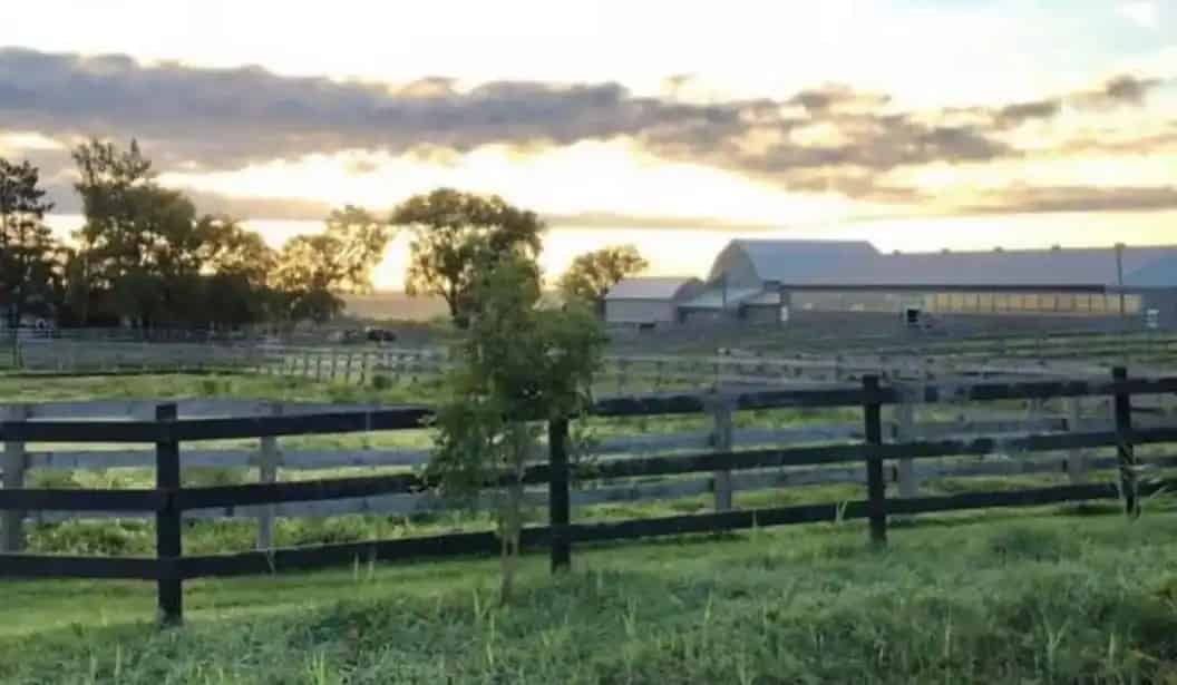 Stonewood Equestrian Riding Lessons