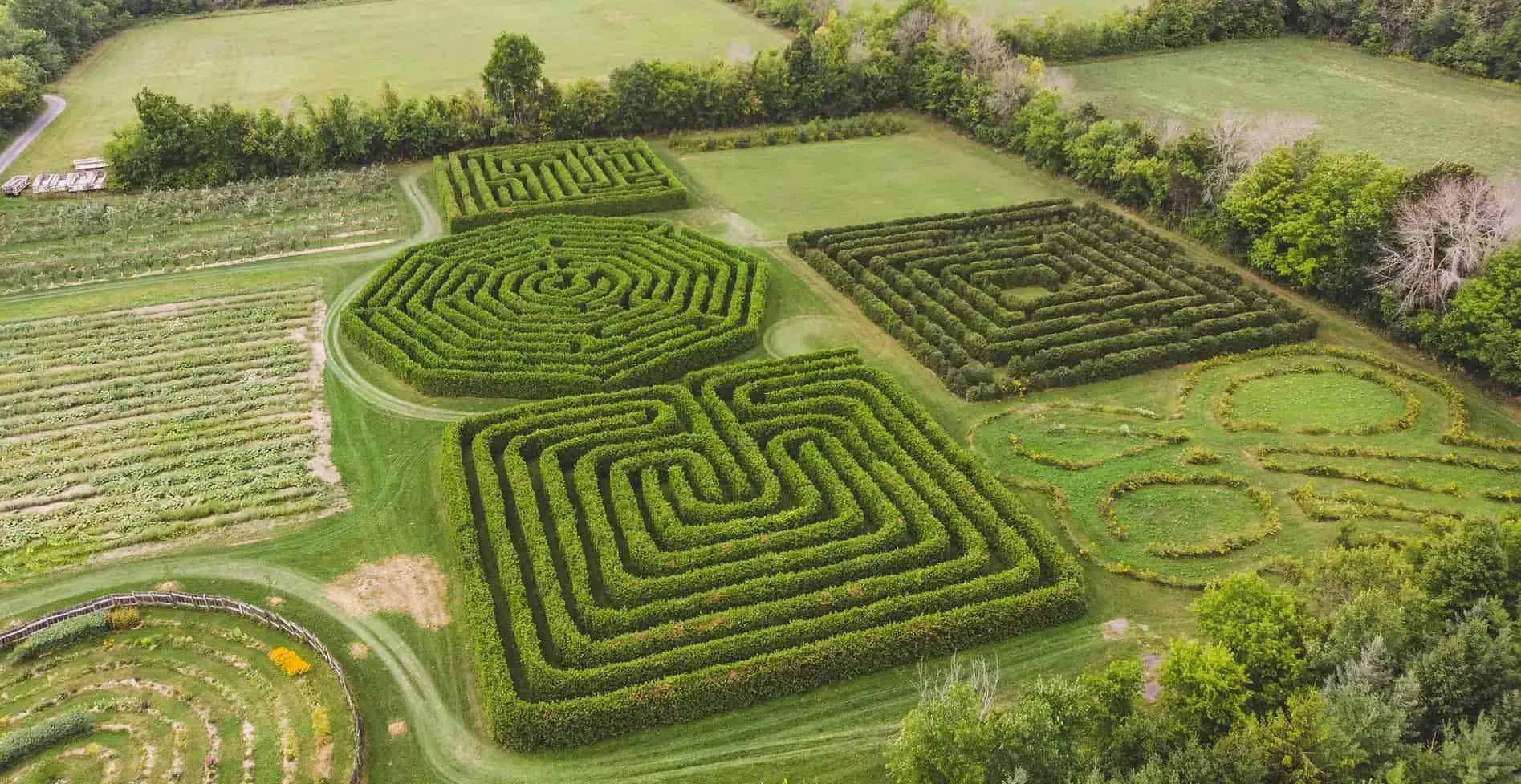 Cannamore Orchard