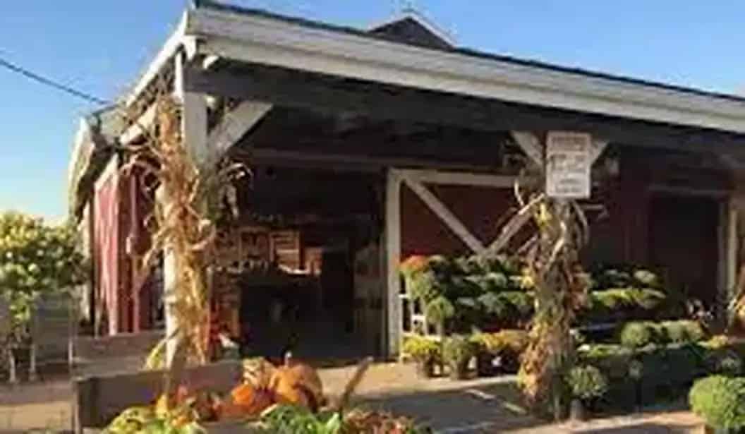 Reesor's Farm Market