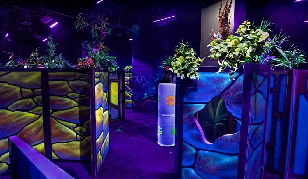 أعياد الميلاد في Tr88house