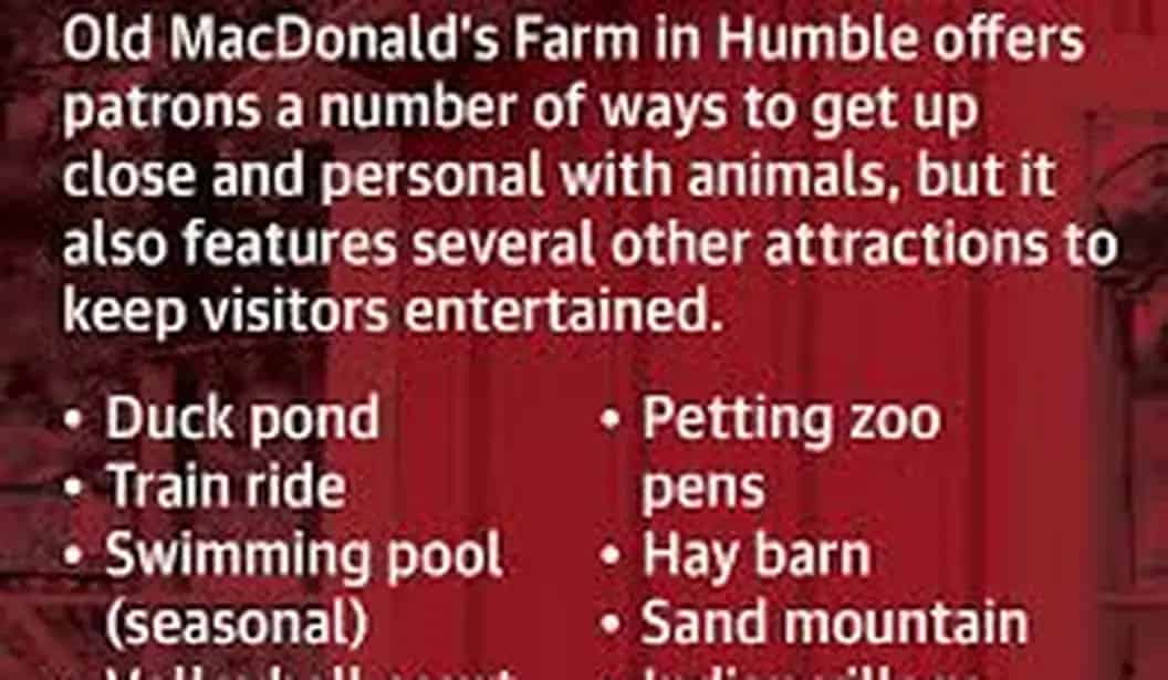 Old MacDonald's Farm