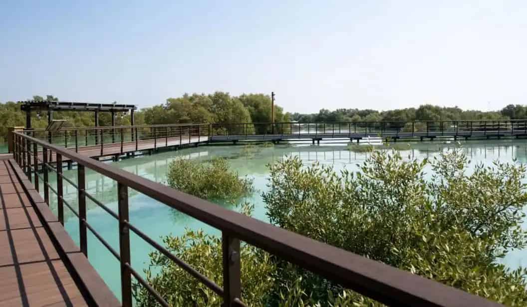 حديقة المانجروف بالجبيل