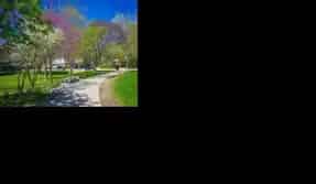 Glendora Park