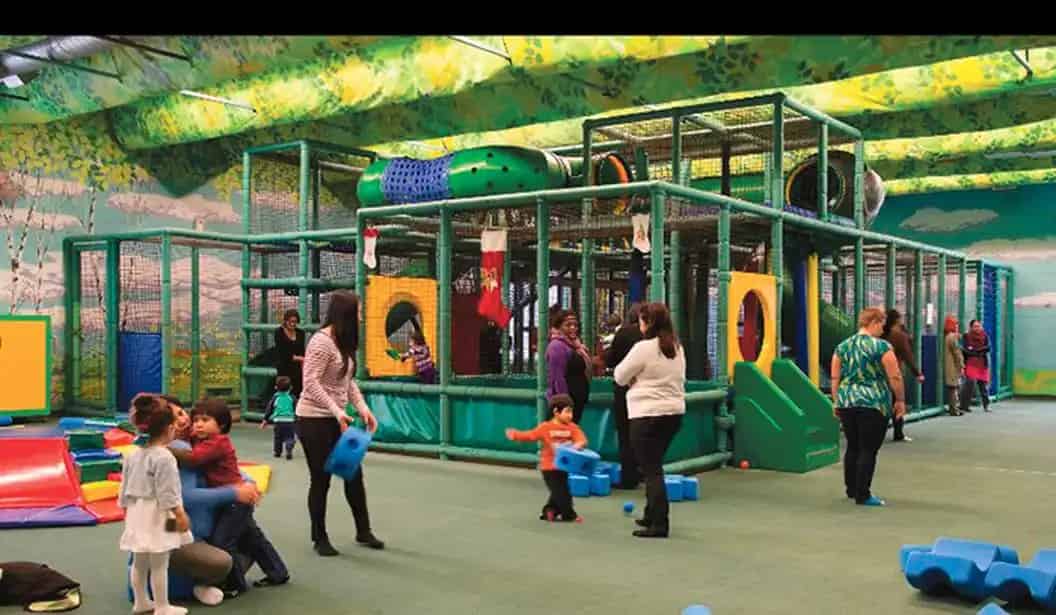 Playground Paradise