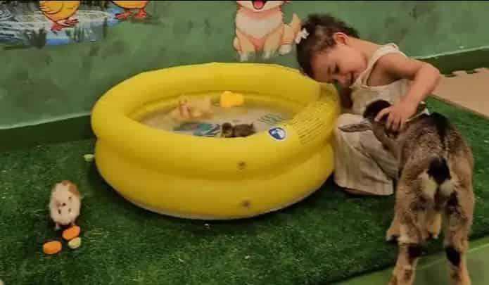 منطقة هاي5 للأطفال