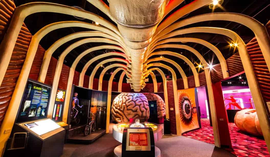 The Health Museum