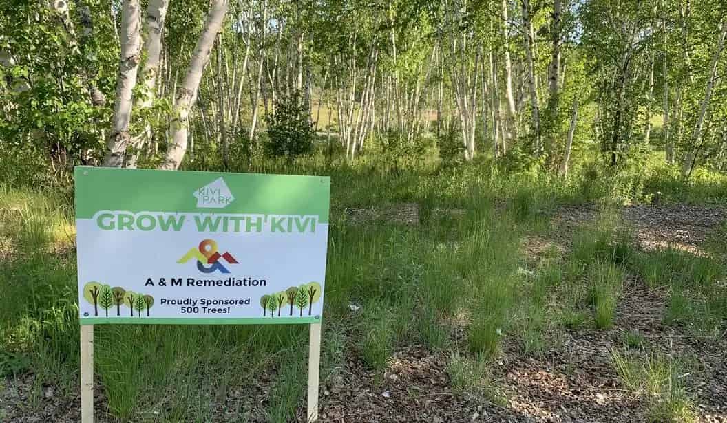 Explore Kivi Park