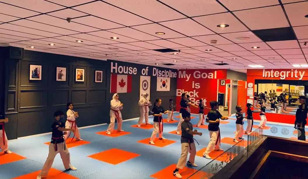 Black Belt World Vaughan