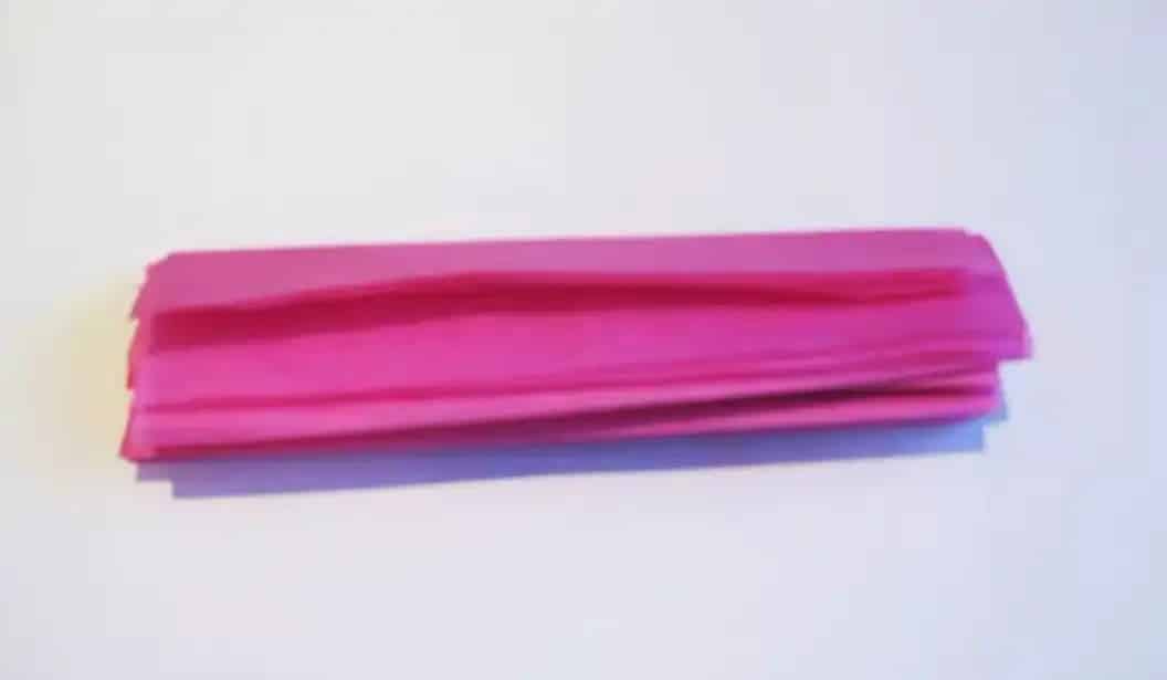 Tissue Paper Flowers