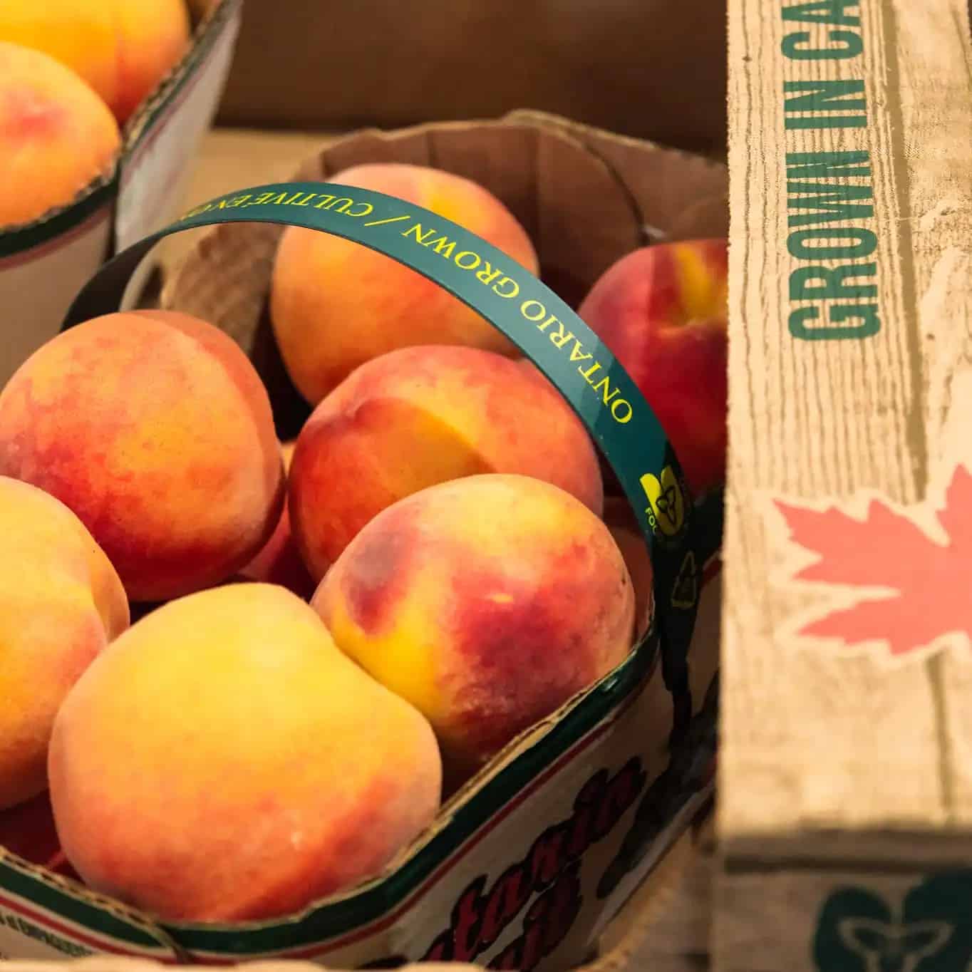 Pingle's Farm Market
