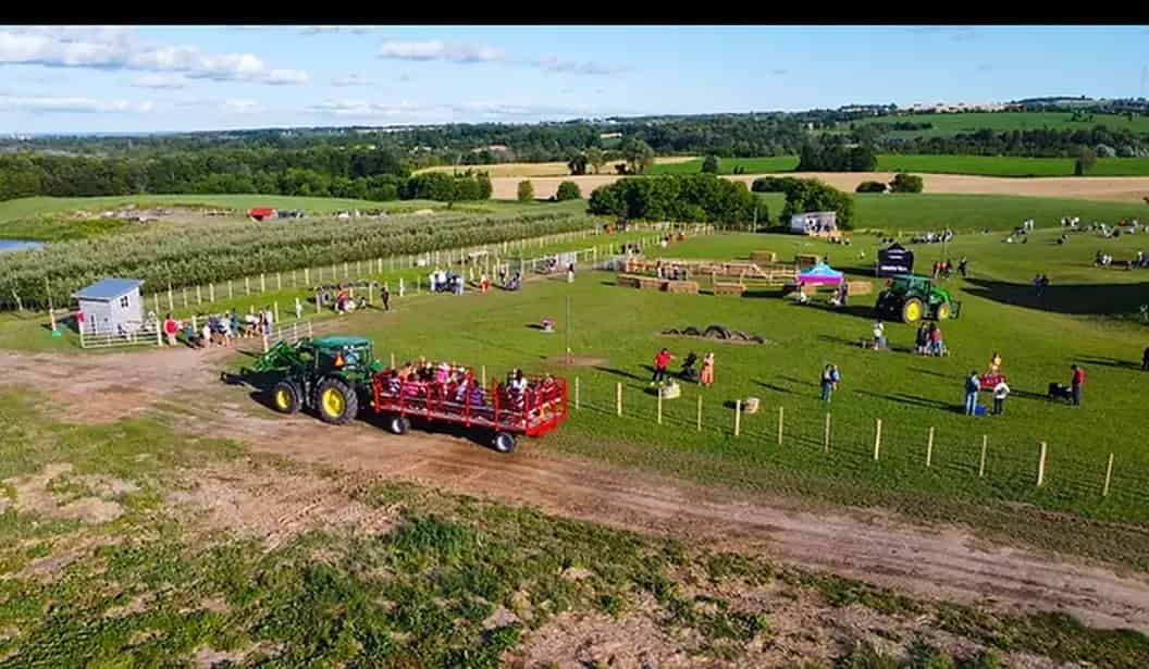 Maple Grove Farm