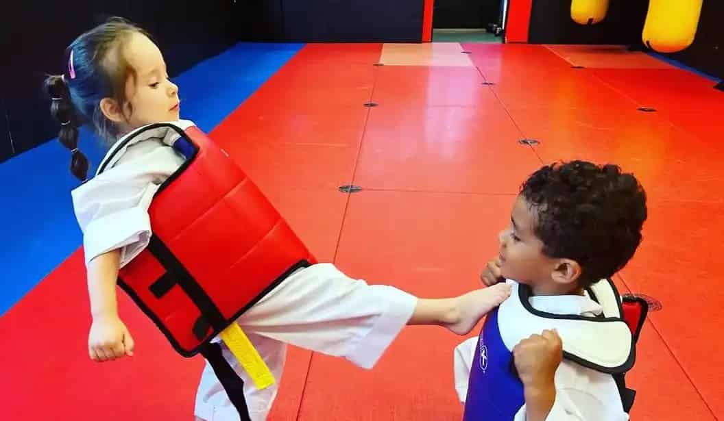 Synergy Martial Arts