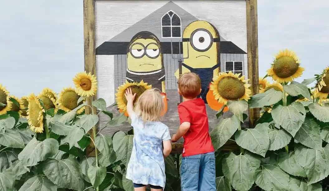 Robintide Farms - Pumpkin Patch & Corn Walk