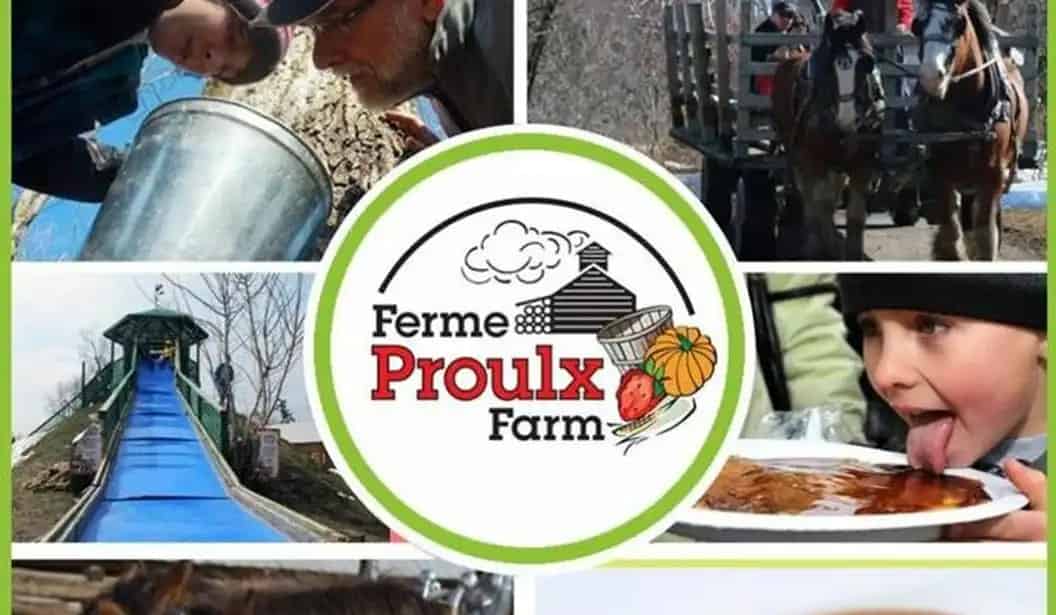 Proulx Maple & Berry Farm