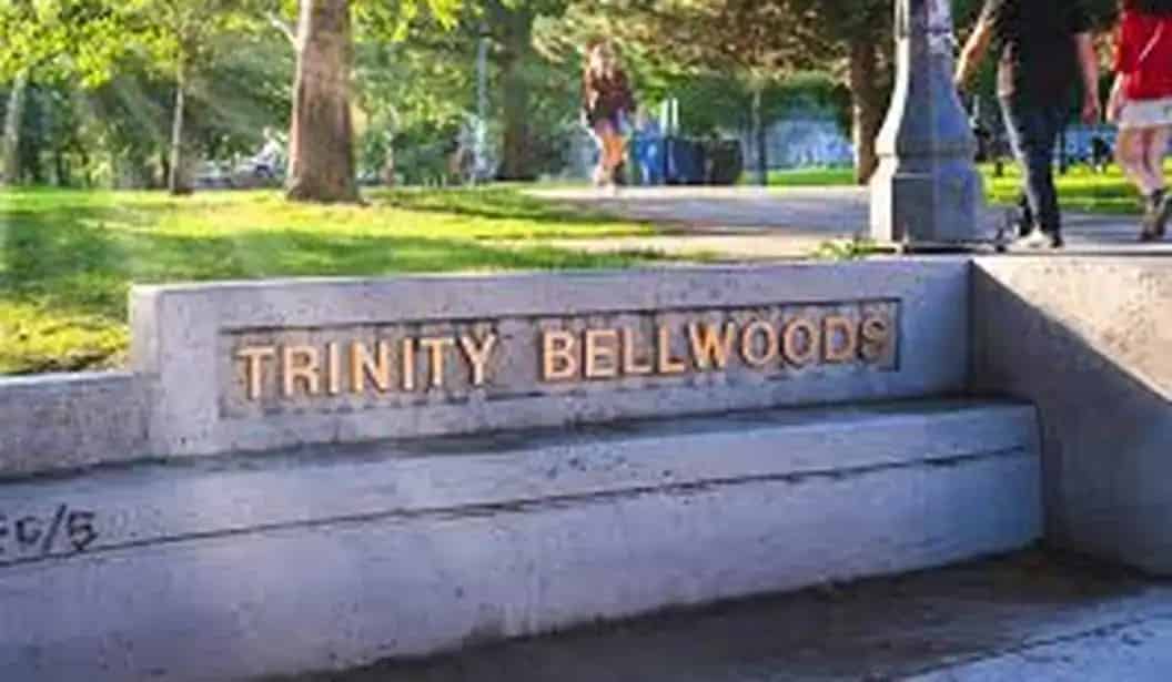 Trinity Bellwoods Park