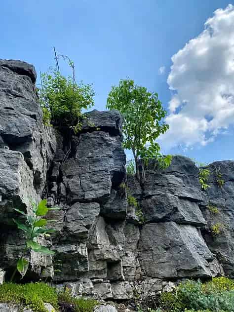Tyendinaga Cavern & Caves